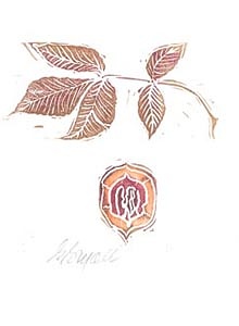 Leaf-hickory