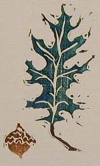 Oak-leaf